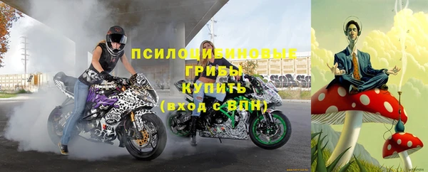ешки Заречный