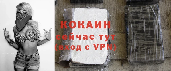 ешки Заречный