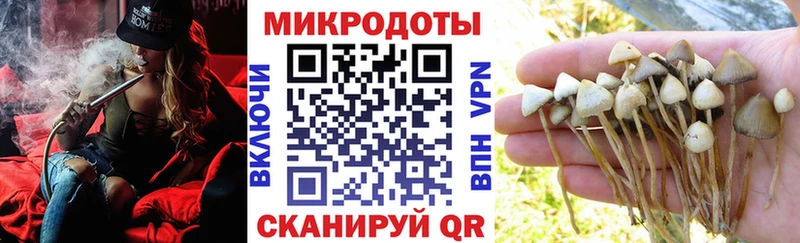 MEGA онион  Краснотурьинск  Галлюциногенные грибы MAGIC MUSHROOMS 
