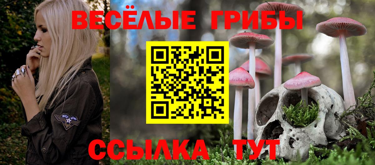 Галлюциногенные грибы ЛСД  Краснотурьинск  Галлюциногенные грибы Cubensis 